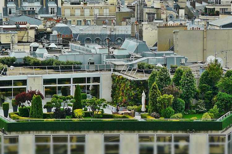 Улучшение микроклимата с помощью зеленых крыш