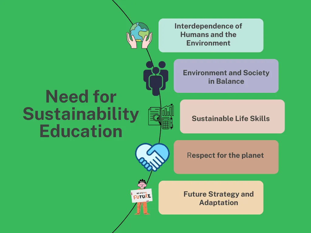 Проектирование экологически чистых школ: устойчивая среда обучения