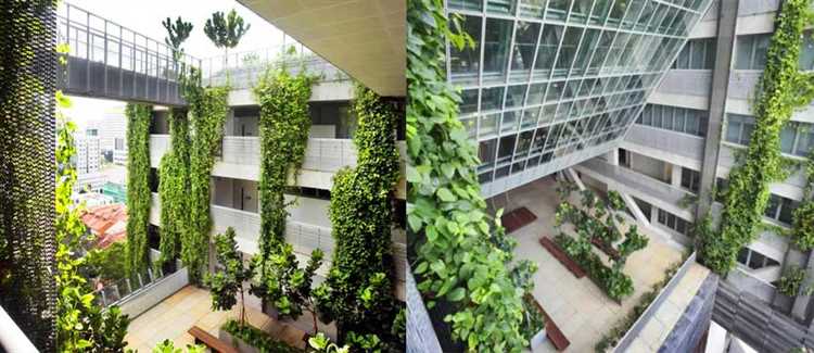 Зеленые стены и вертикальные сады: интеграция природы в здания